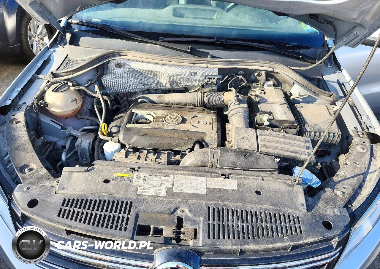 2017 Volkswagen Tiguan S VIN:WVGBV7AX0HW507175 - 12