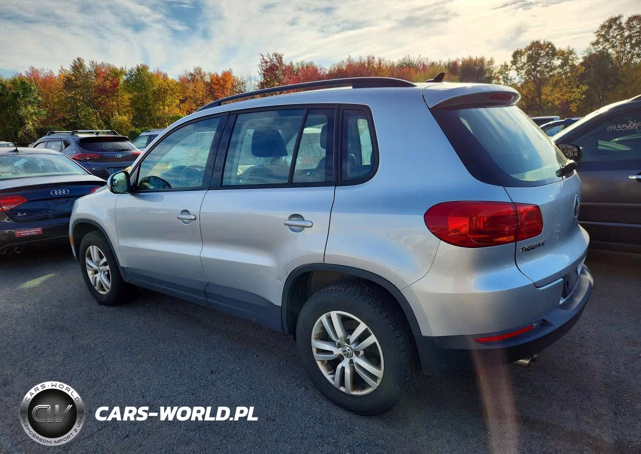 2017 Volkswagen Tiguan S VIN:WVGBV7AX0HW507175 - 2
