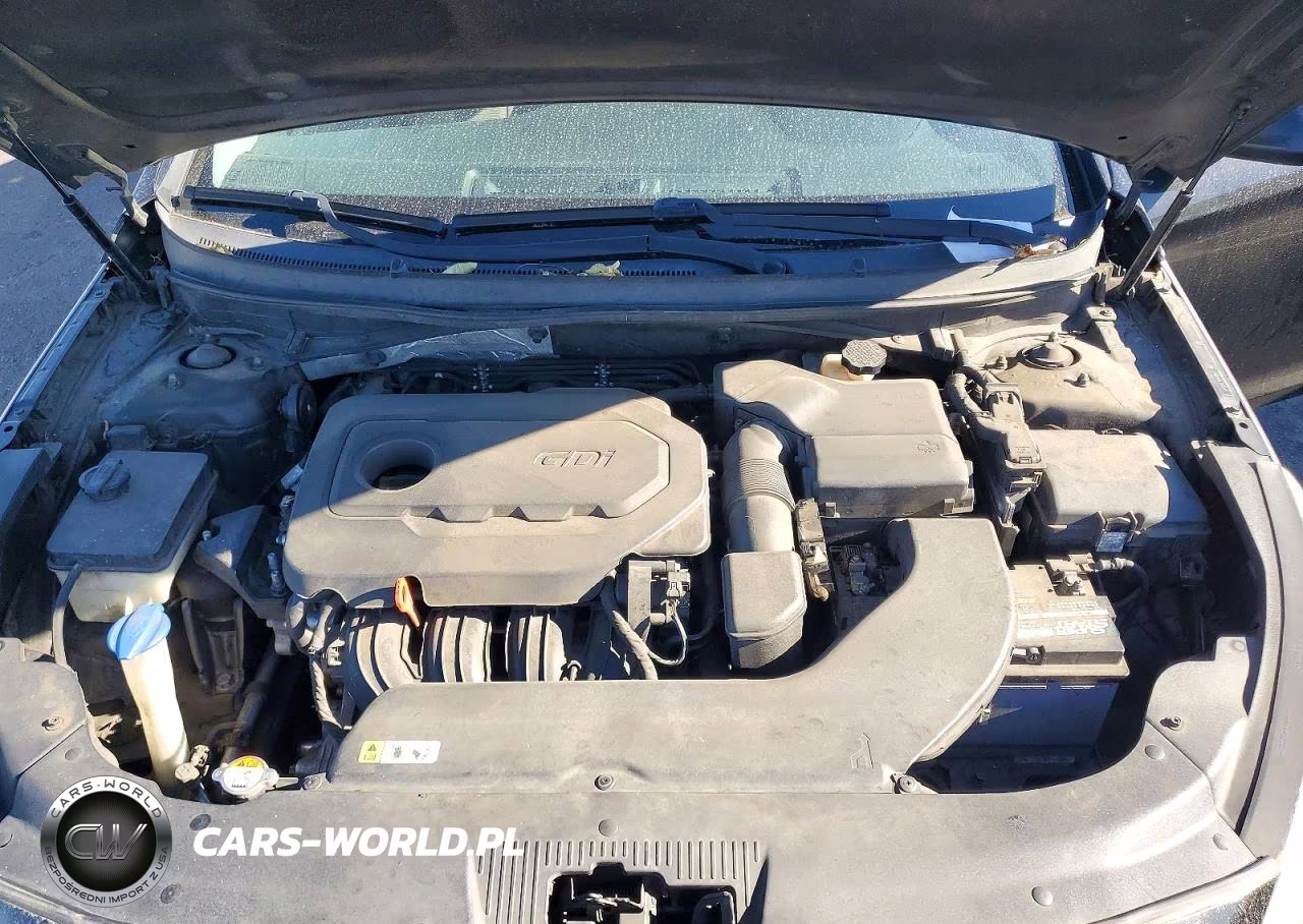 2015 Hyundai Sonata Se VIN:5NPE24AF9FH018809 - 11
