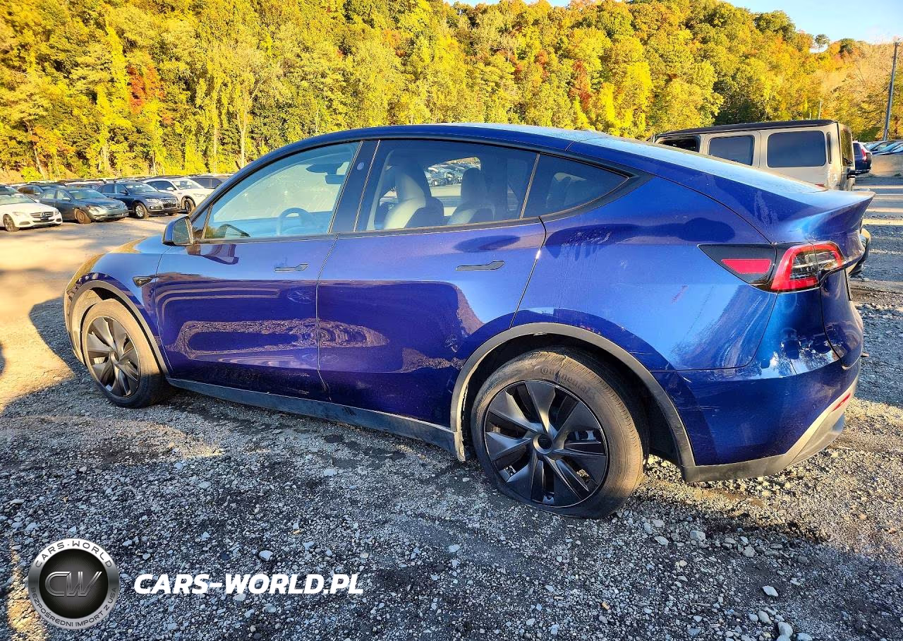 2025 Tesla Model Y VIN:7SAYGDED0SF232882 - 2