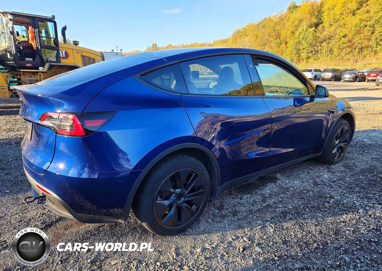 2025 Tesla Model Y VIN:7SAYGDED0SF232882 - 3