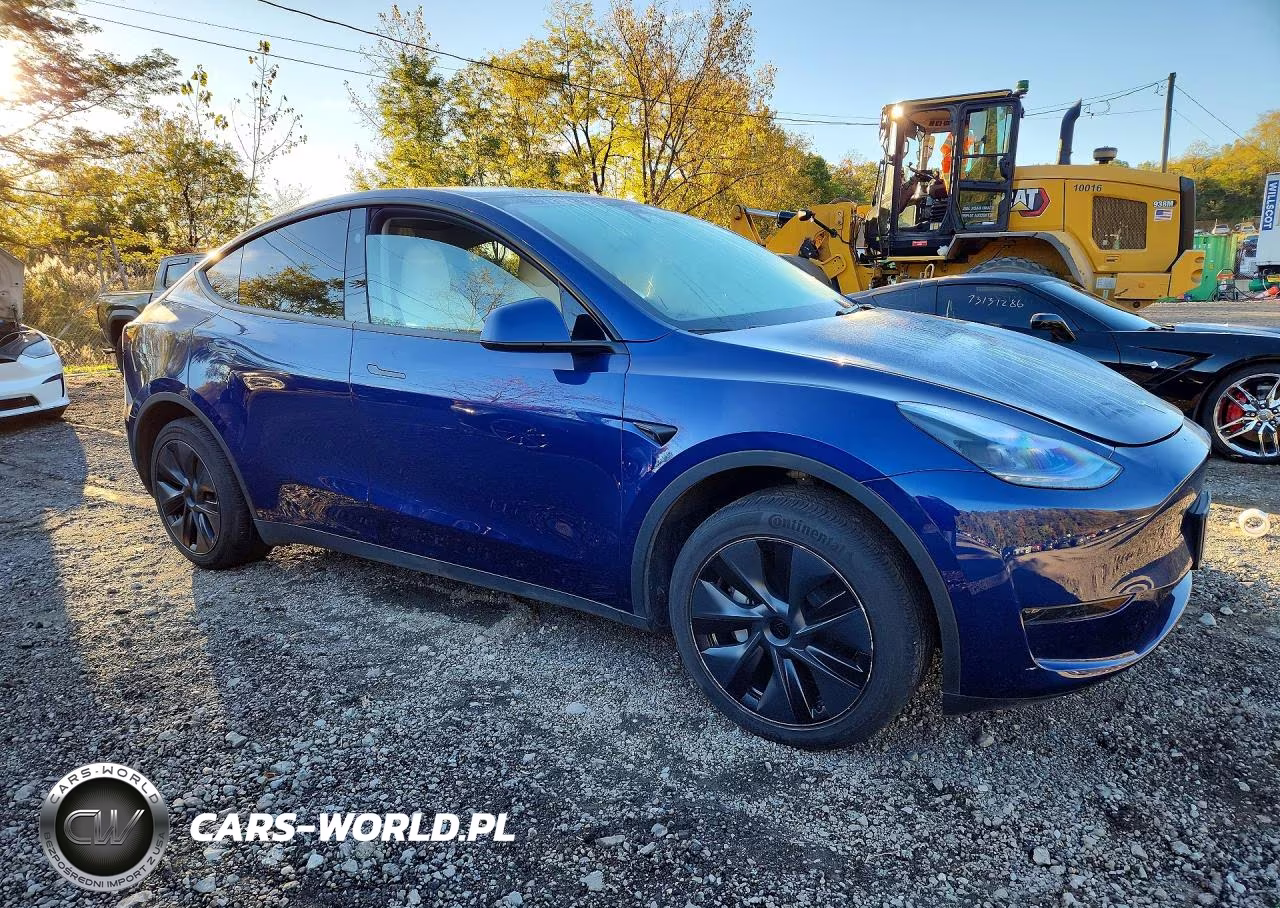 2025 Tesla Model Y VIN:7SAYGDED0SF232882 - 4
