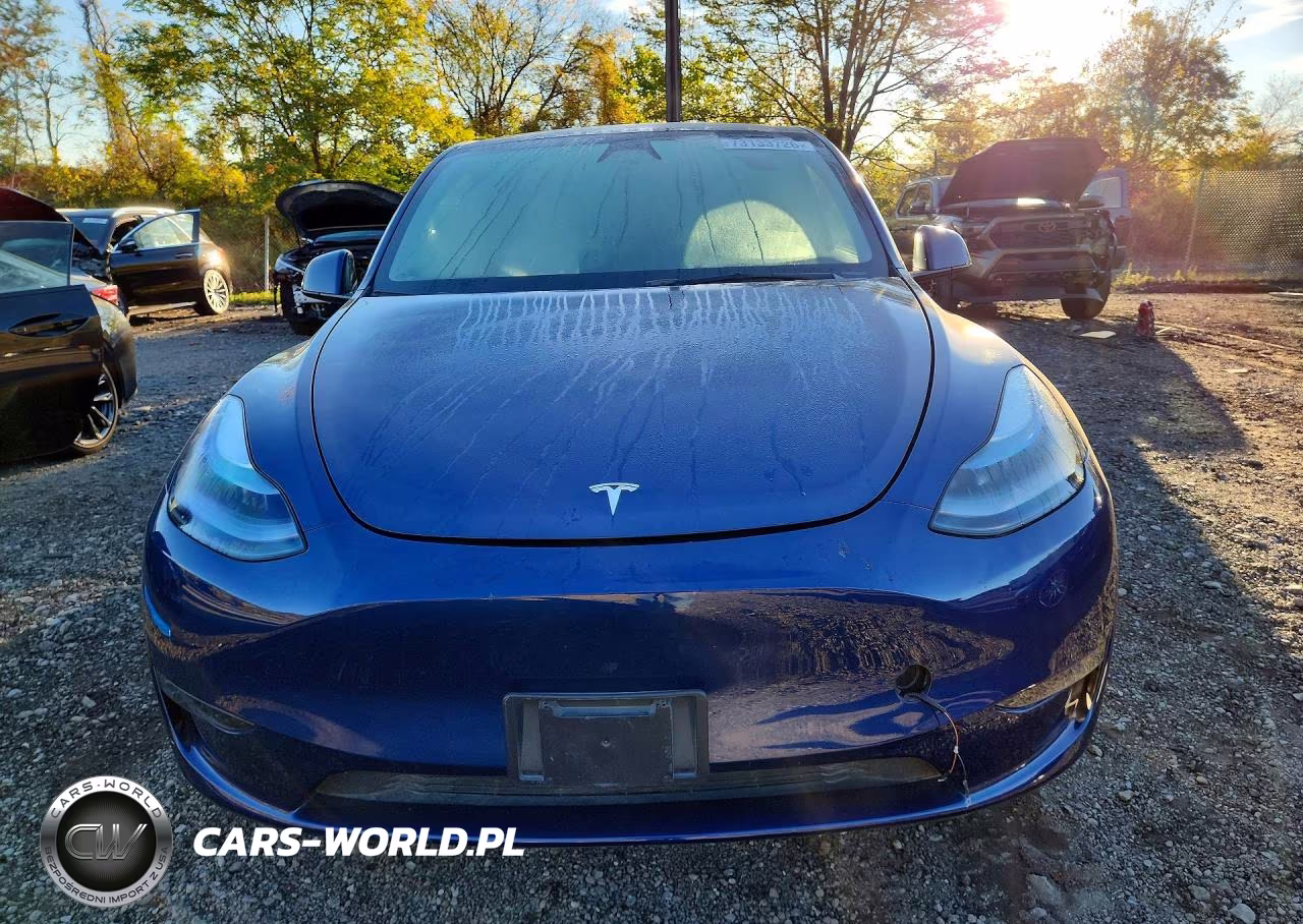 2025 Tesla Model Y VIN:7SAYGDED0SF232882 - 5