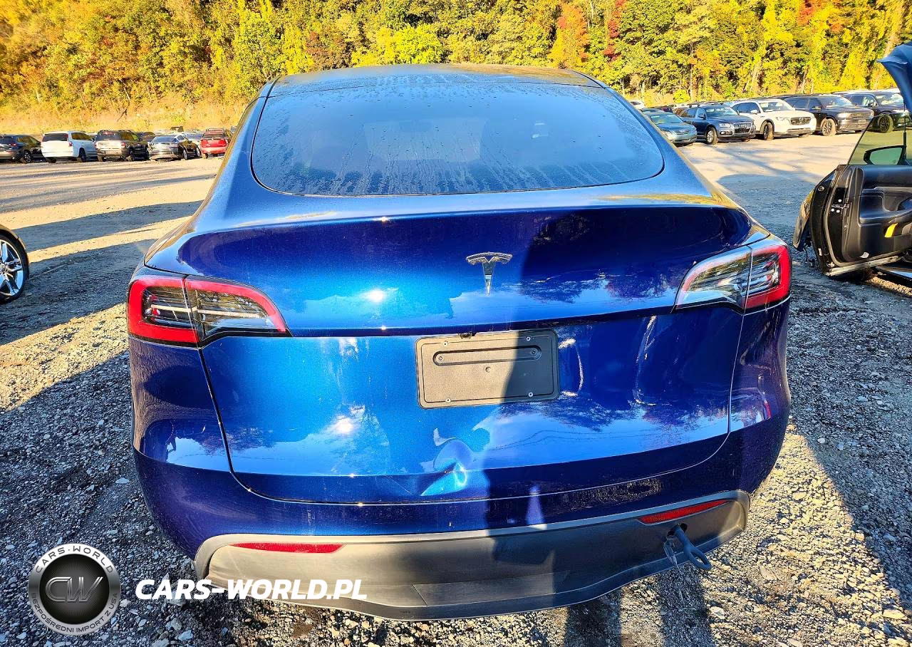2025 Tesla Model Y VIN:7SAYGDED0SF232882 - 6