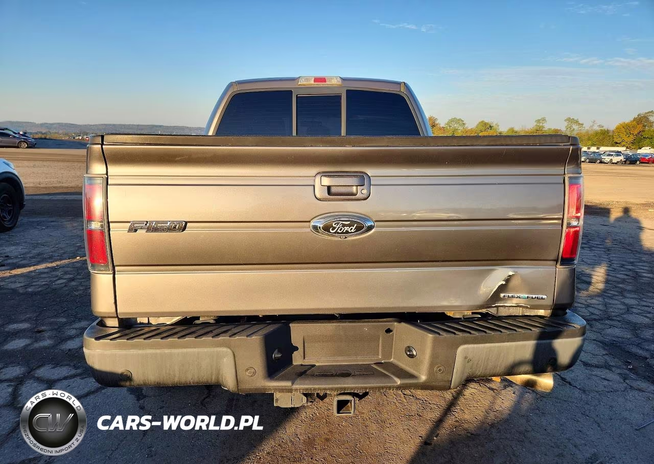 2014 Ford F150 Supercrew VIN:1FTFW1EF5EFA08644 - 6
