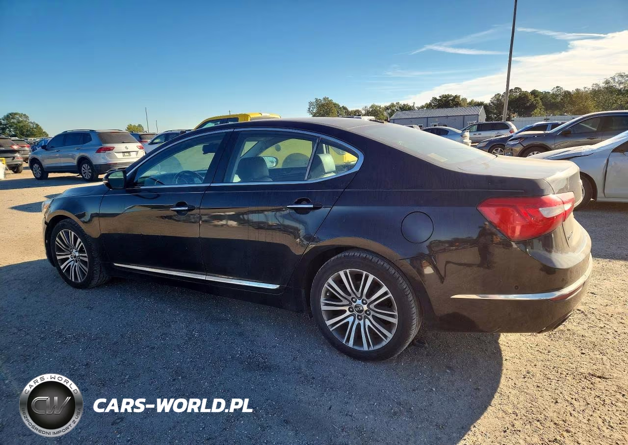 2014 Kia Cadenza Premium VIN:KNALN4D75E5128030 - 2