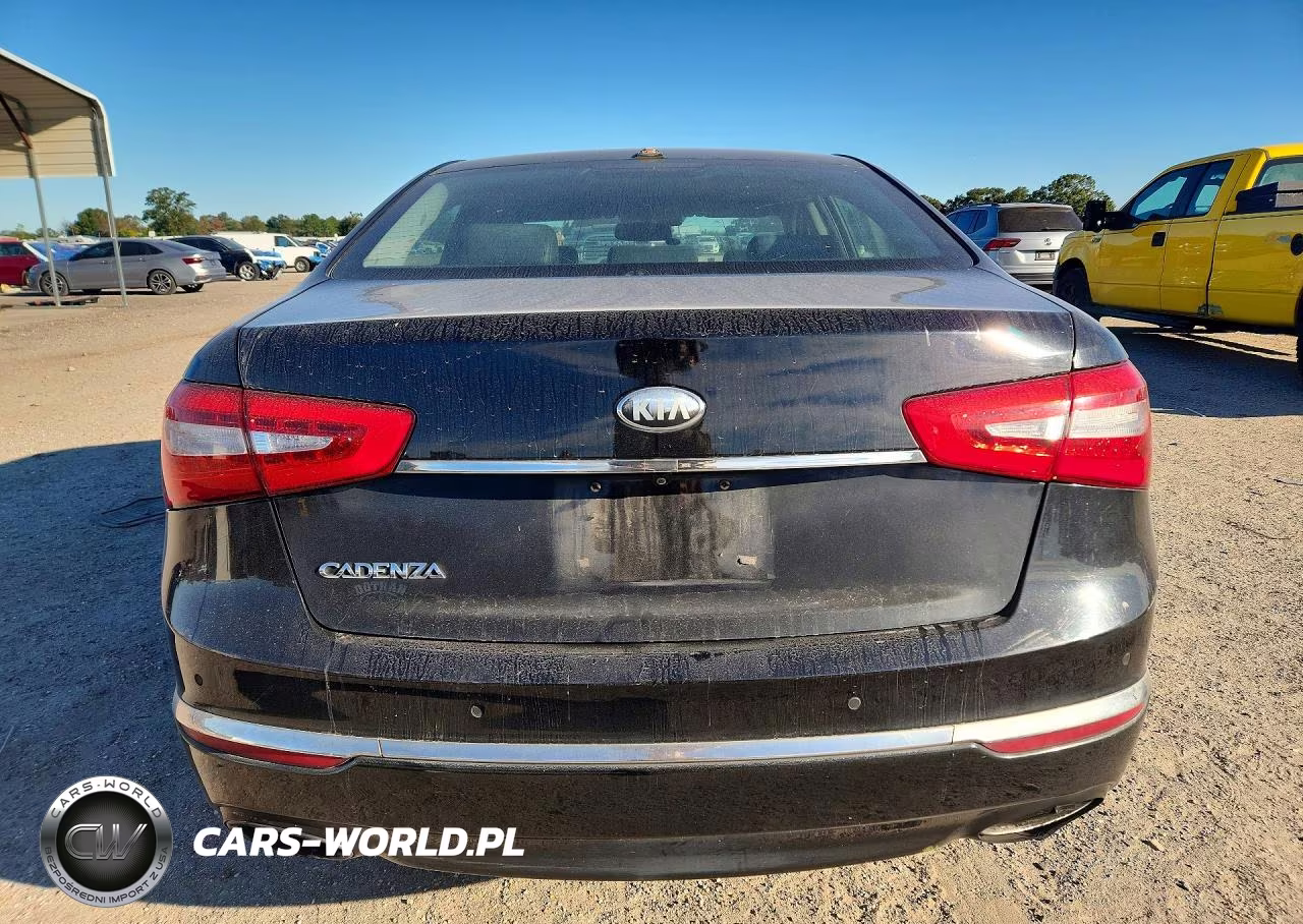 2014 Kia Cadenza Premium VIN:KNALN4D75E5128030 - 6
