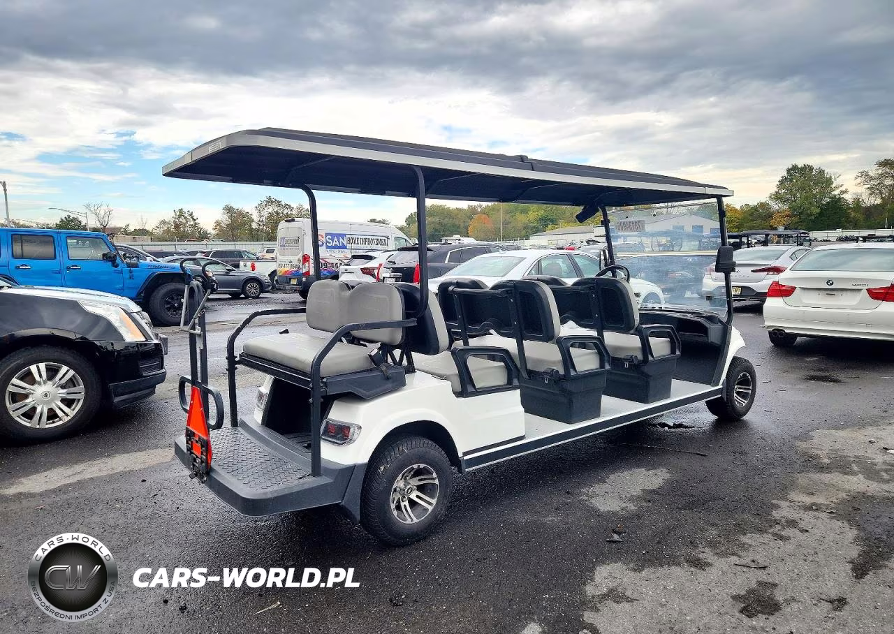 2022 Advanced Ev Golf Cart VIN:7LWDGAD19N1062704 - 4