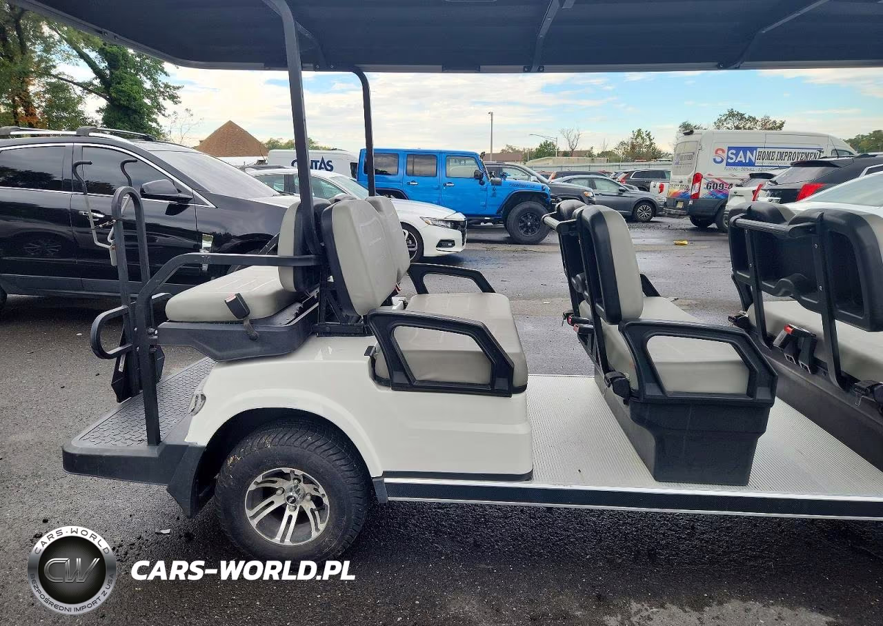 2022 Advanced Ev Golf Cart VIN:7LWDGAD19N1062704 - 6