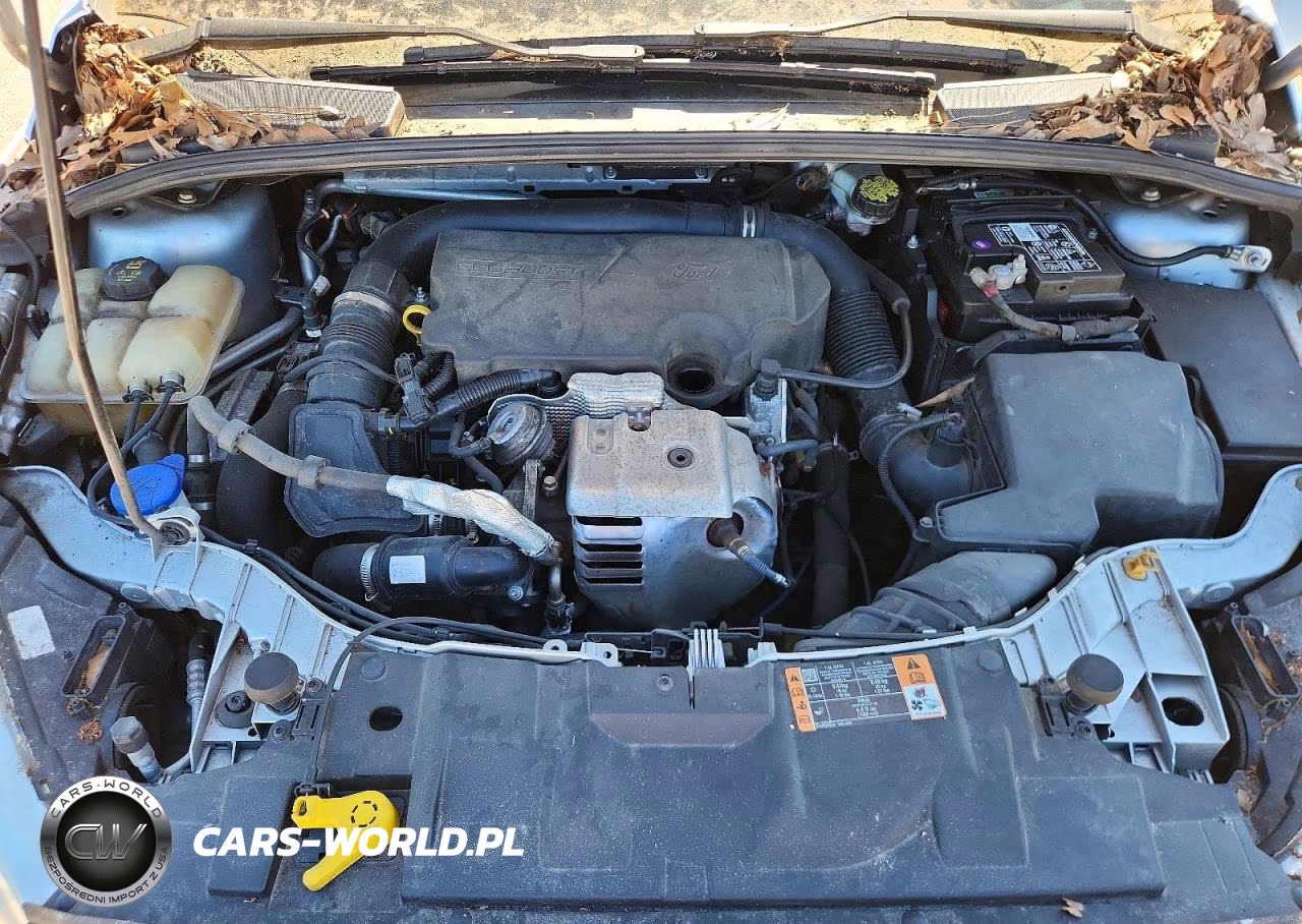 2015 Ford Focus Se VIN:1FADP3FE0FL344961 - 11