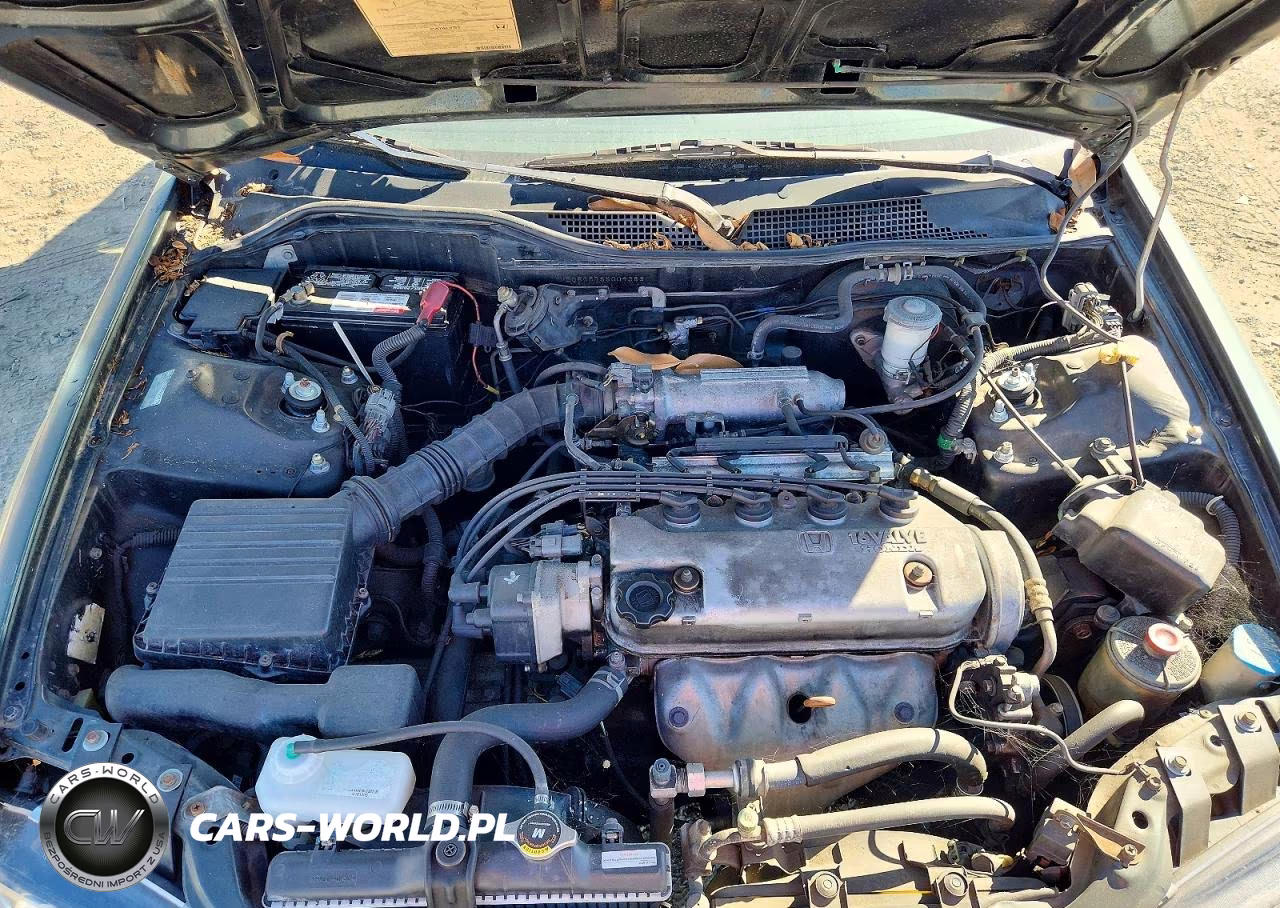 1995 Honda Civic Lx VIN:JHMEG8657SS009383 - 11