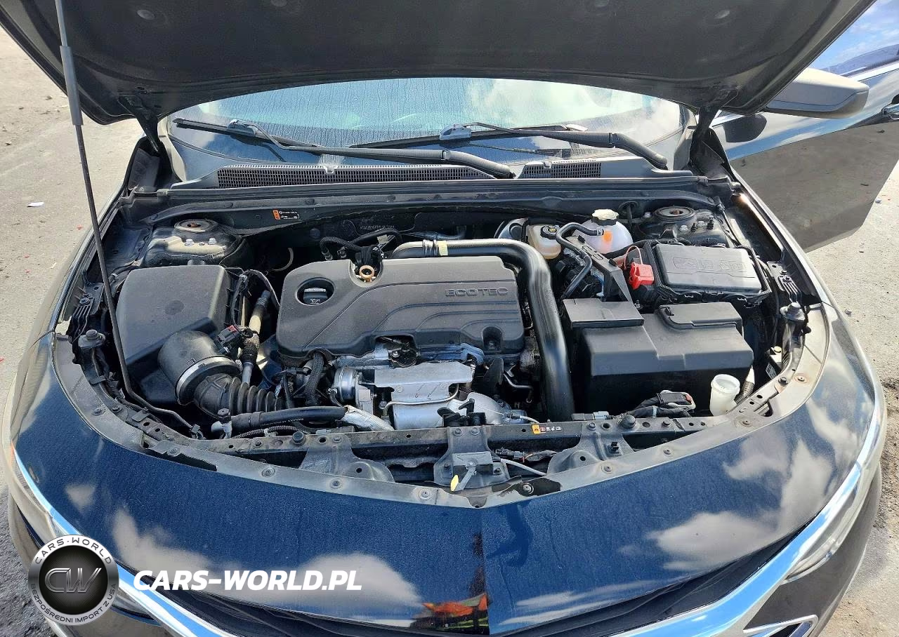 2019 Chevrolet Malibu Ls VIN:1G1ZB5ST2KF181214 - 11