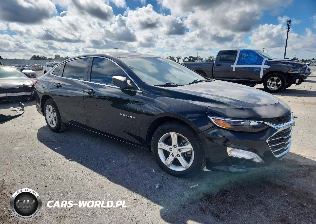 2019 Chevrolet Malibu Ls VIN:1G1ZB5ST2KF181214 - 4