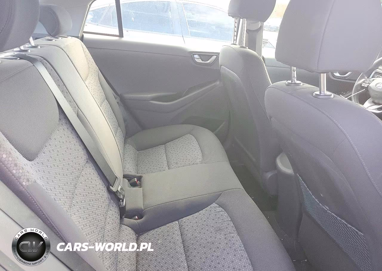 2017 Hyundai Ioniq Blue VIN:KMHC65LC5HU030609 - 10