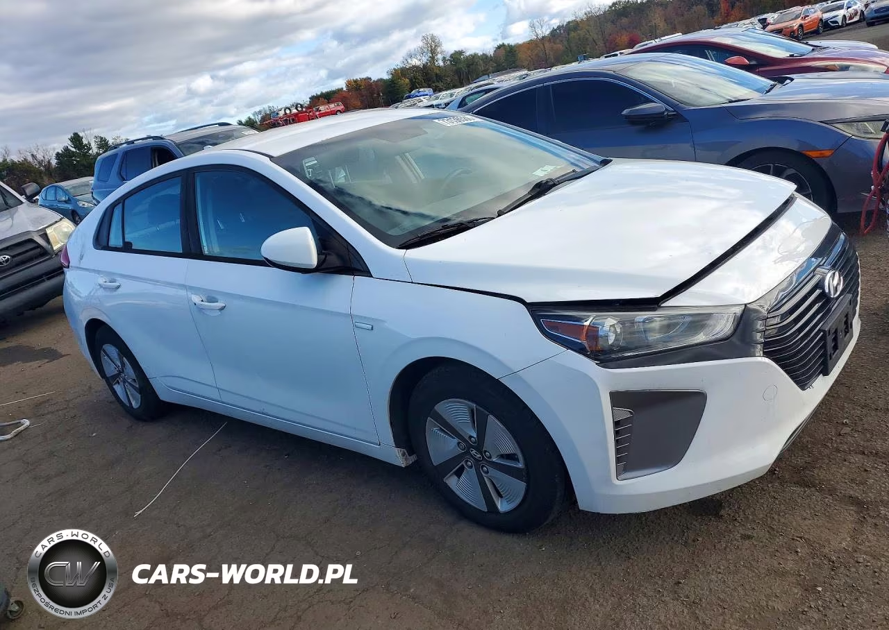 2017 Hyundai Ioniq Blue VIN:KMHC65LC5HU030609 - 4