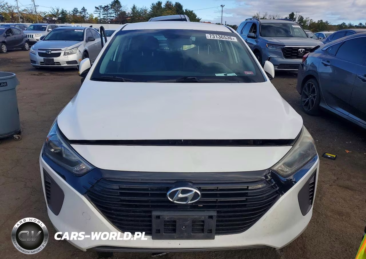 2017 Hyundai Ioniq Blue VIN:KMHC65LC5HU030609 - 5
