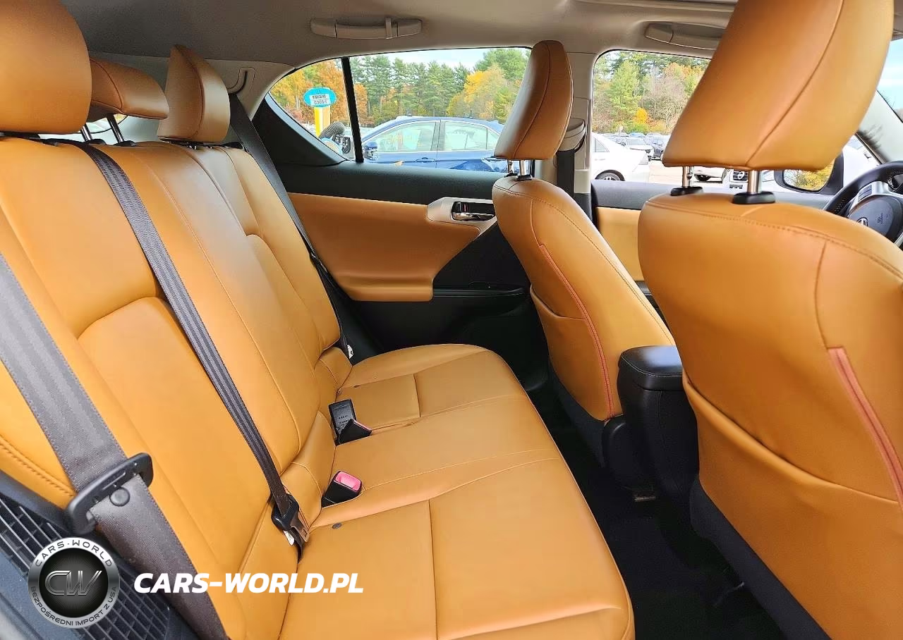 2013 Lexus Ct 200 VIN:JTHKD5BH1D2158966 - 10
