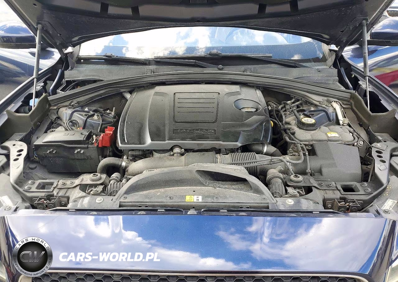 2018 Jaguar F-Pace Prestige VIN:SADCK2FX0JA266724 - 12