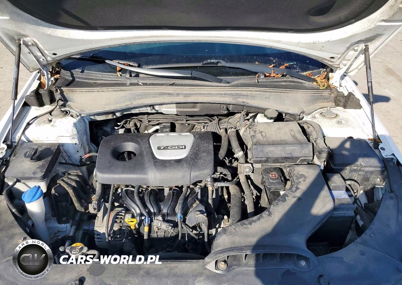 2019 Kia Optima Ex VIN:5XXGU4L15KG330670 - 11