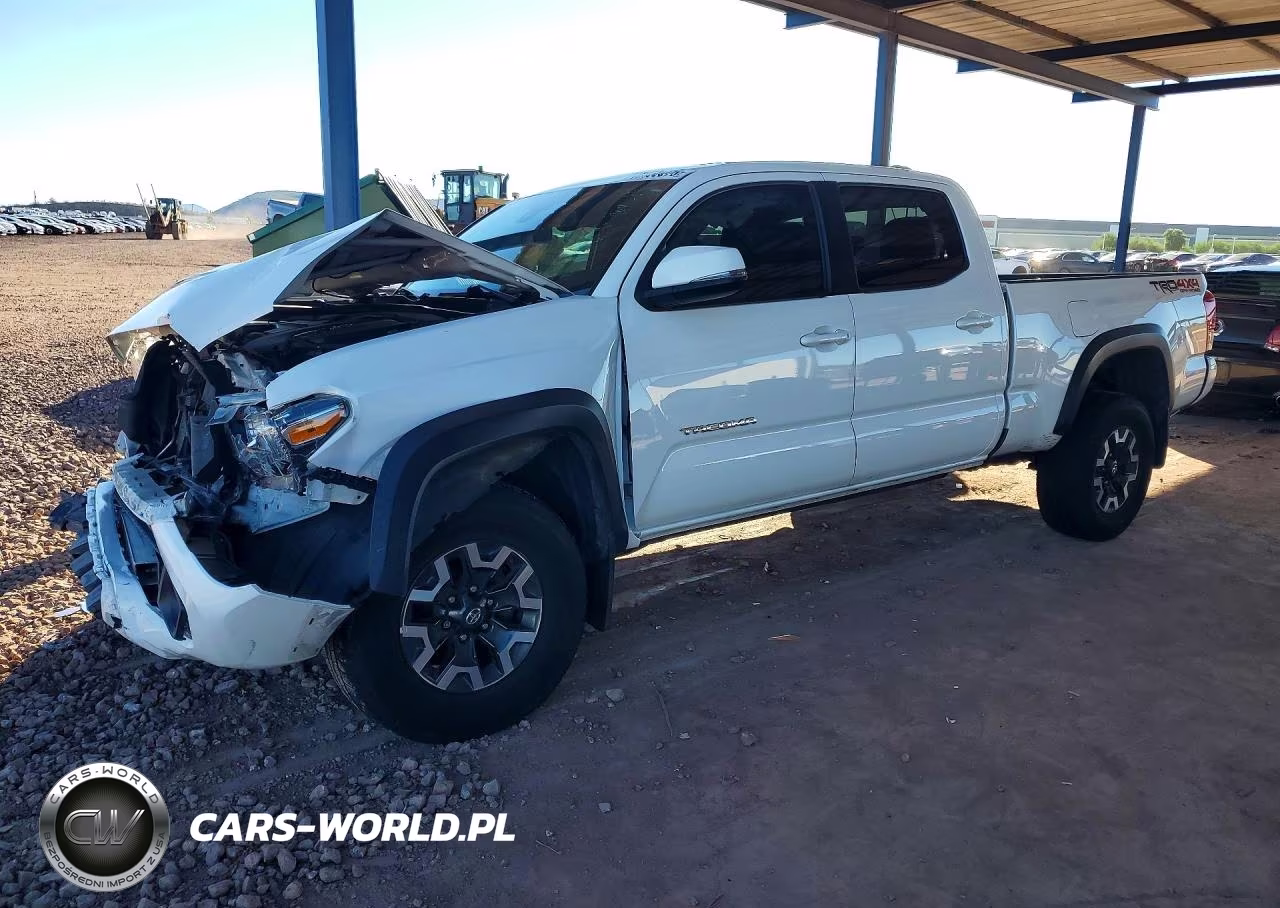 2019 Toyota Tacoma Trd Off-Road VIN:3TMDZ5BN4KM075054 - 1
