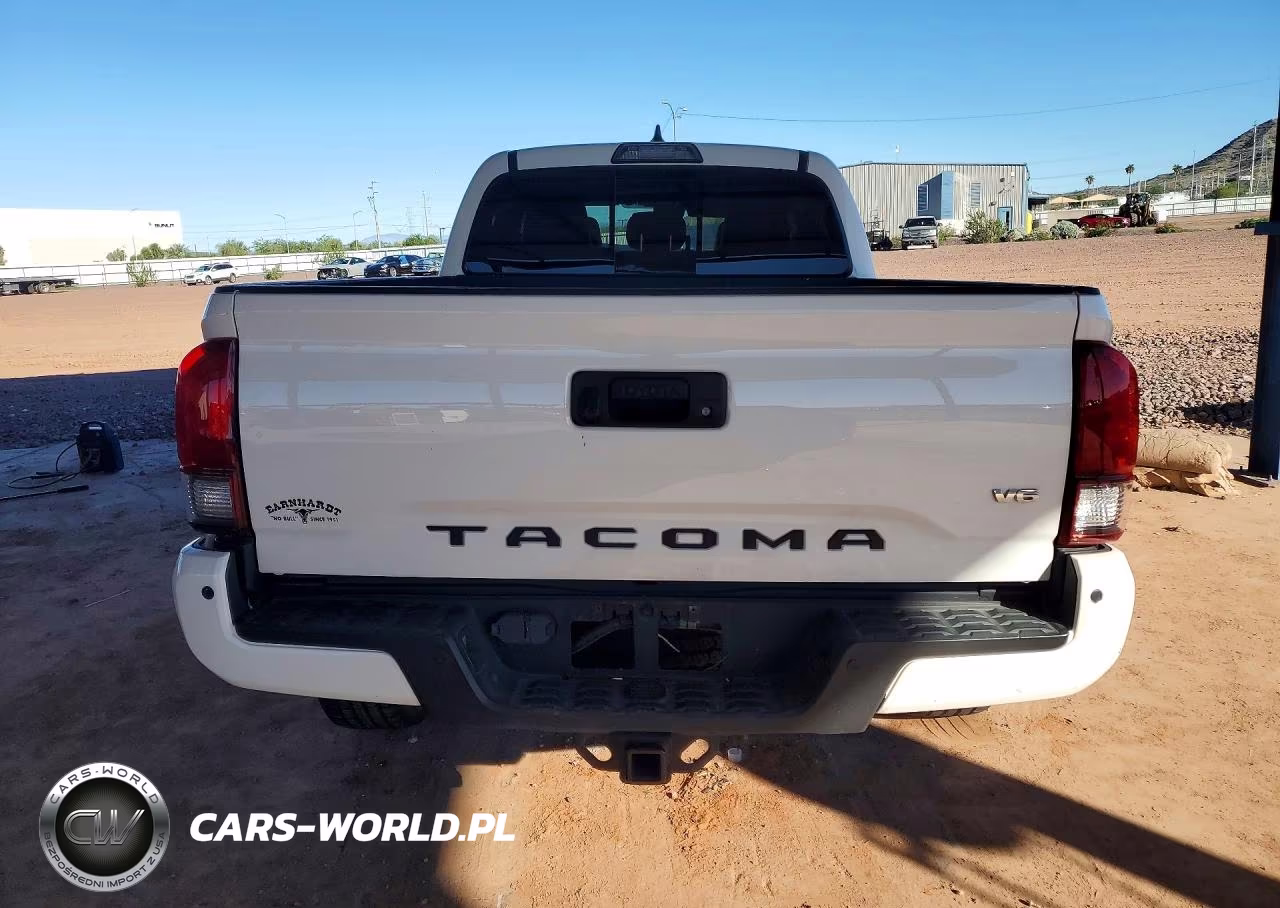 2019 Toyota Tacoma Trd Off-Road VIN:3TMDZ5BN4KM075054 - 6
