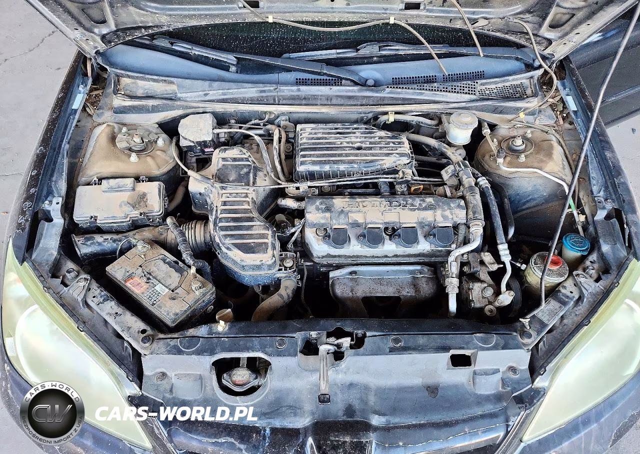 2004 Honda Civic Lx VIN:1HGES16524L021334 - 13