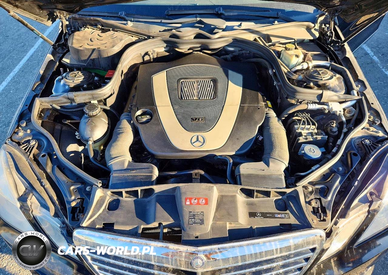 2010 Mercedes-Benz E 350 VIN:WDDHF5GB3AA189458 - 11
