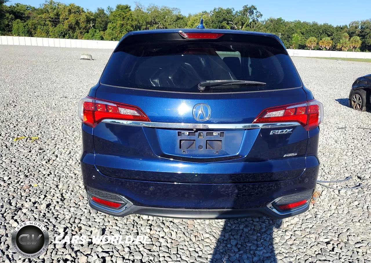 2017 Acura Rdx Advance VIN:5J8TB4H73HL003924 - 6