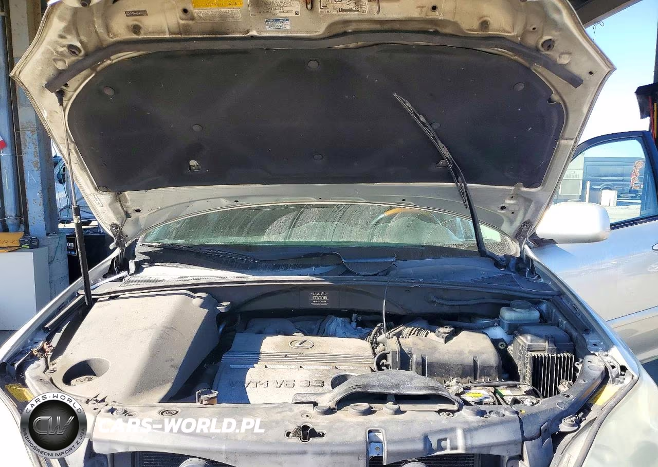 2004 Lexus Rx 330 VIN:JTJHA31U540023666 - 11