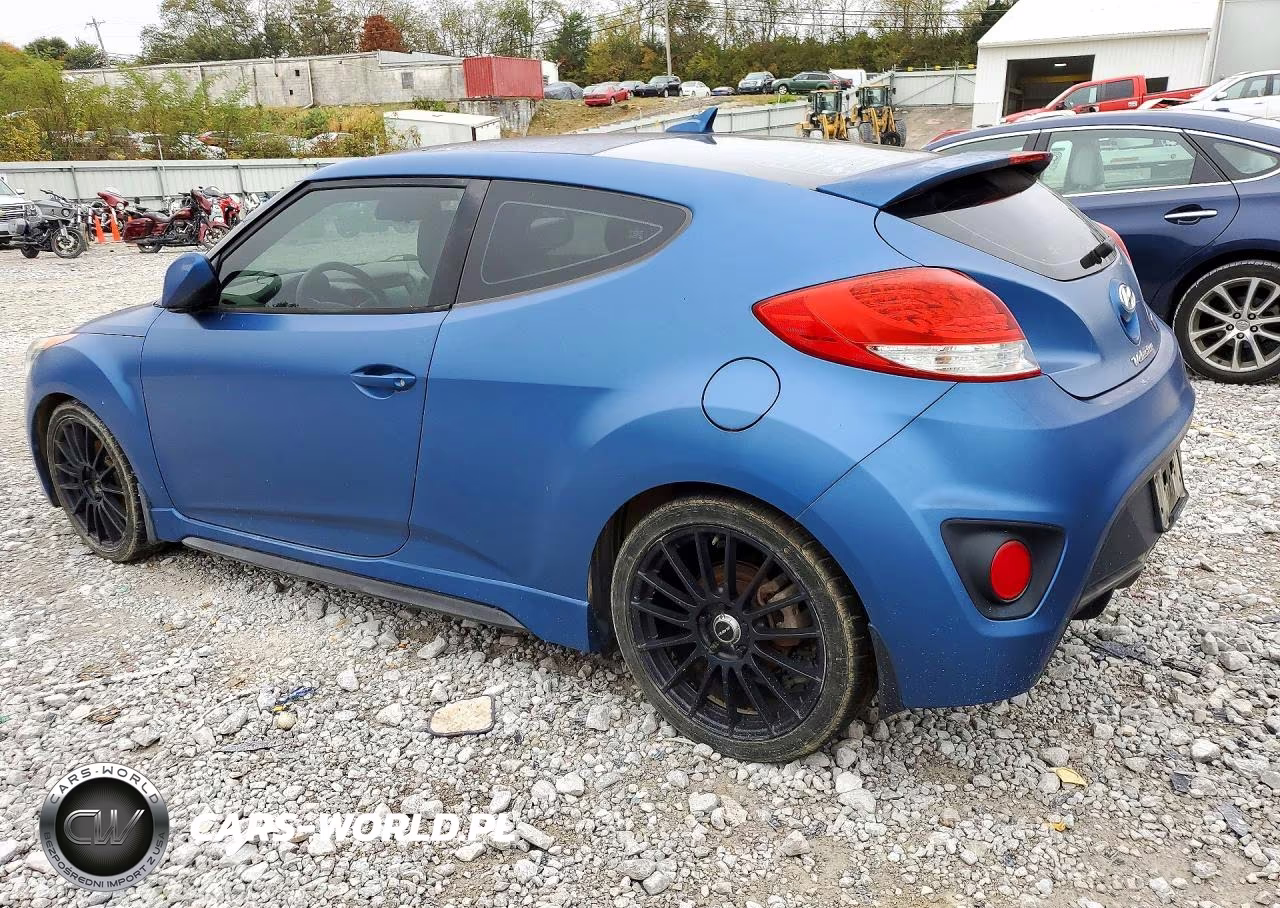 2016 Hyundai Veloster Turbo Rally Edition VIN:KMHTC6AE0GU261399 - 2
