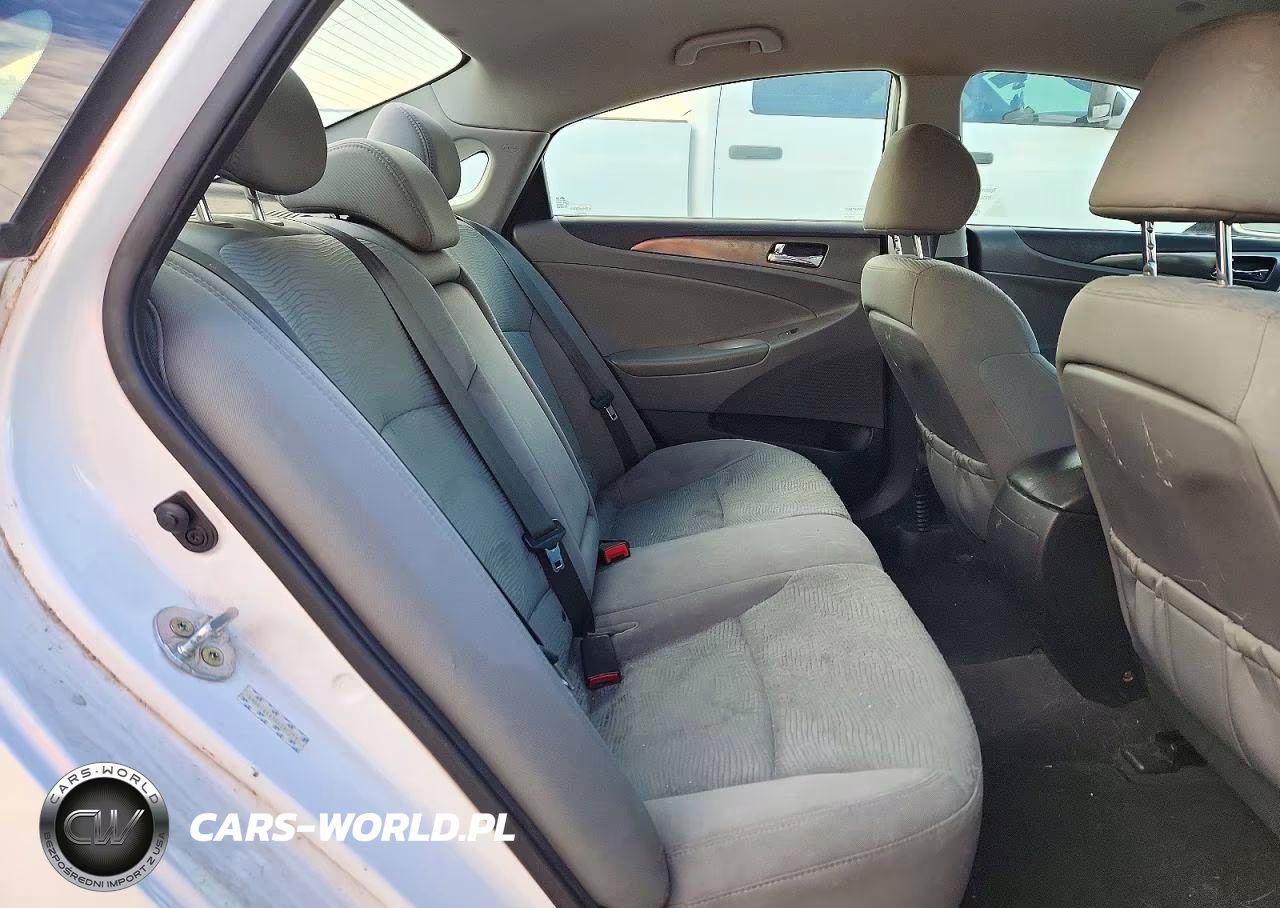 2014 Hyundai Sonata Hybrid VIN:KMHEC4A43EA117171 - 10