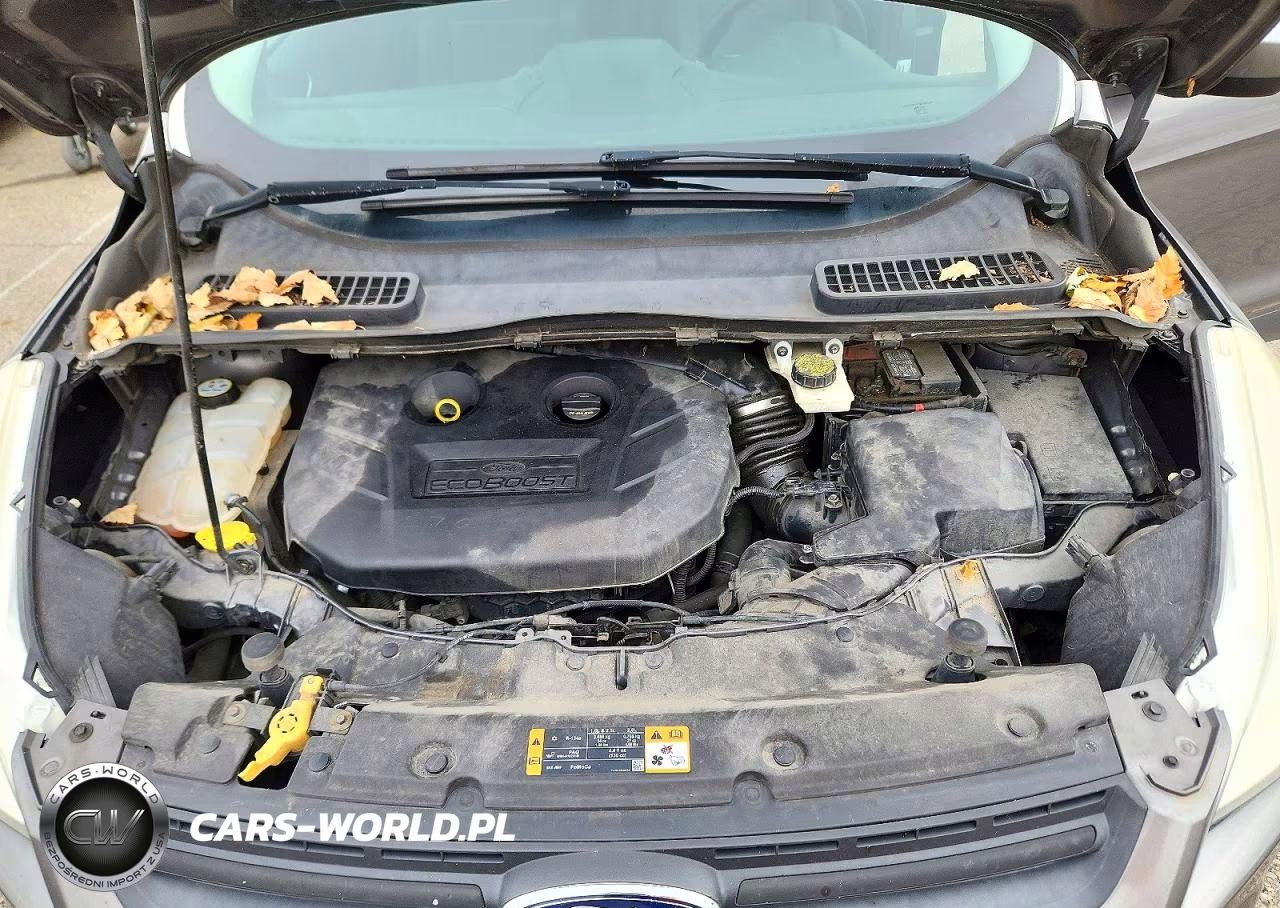 2013 Ford Escape Se VIN:1FMCU0G95DUB45115 - 12