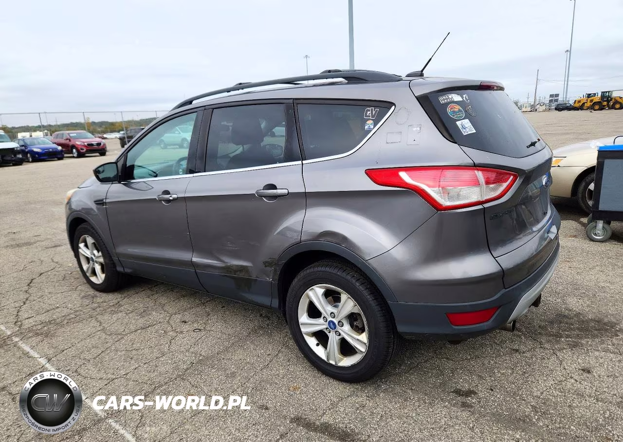 2013 Ford Escape Se VIN:1FMCU0G95DUB45115 - 2