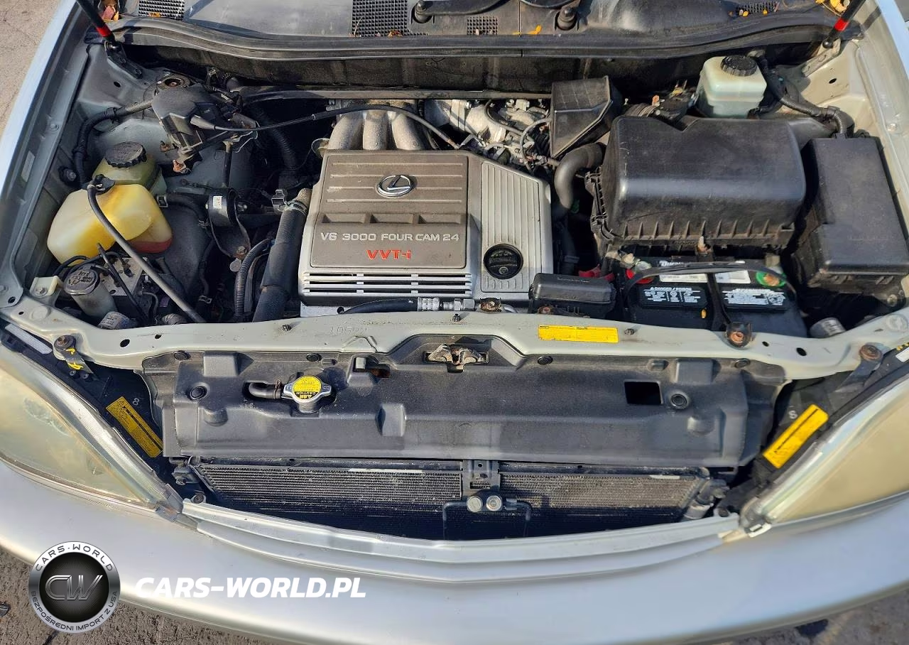 2001 Lexus Rx 300 VIN:JTJHF10U810218101 - 12