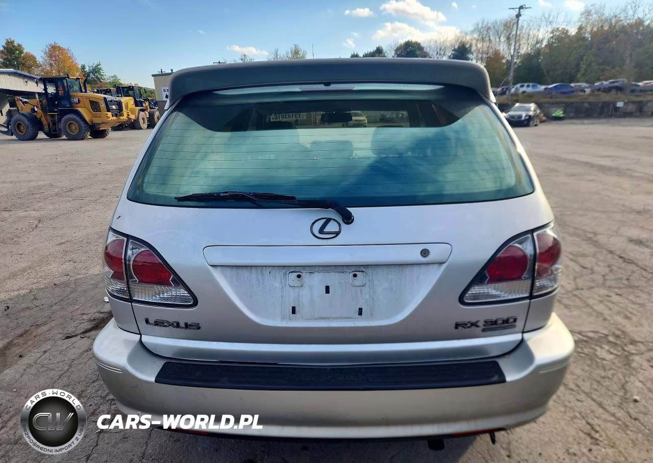 2001 Lexus Rx 300 VIN:JTJHF10U810218101 - 6