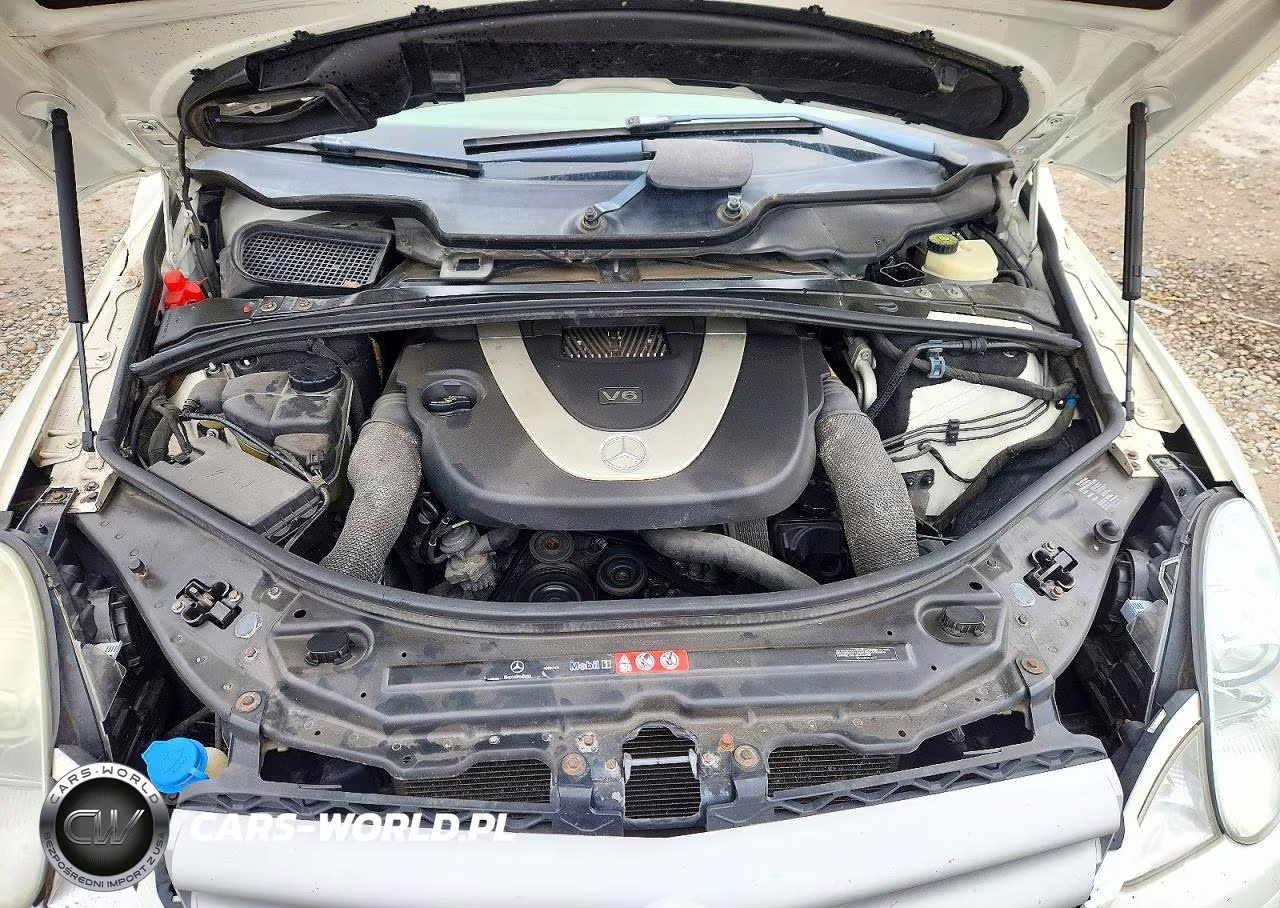 2006 Mercedes-Benz R 350 VIN:4JGCB65E56A021875 - 12
