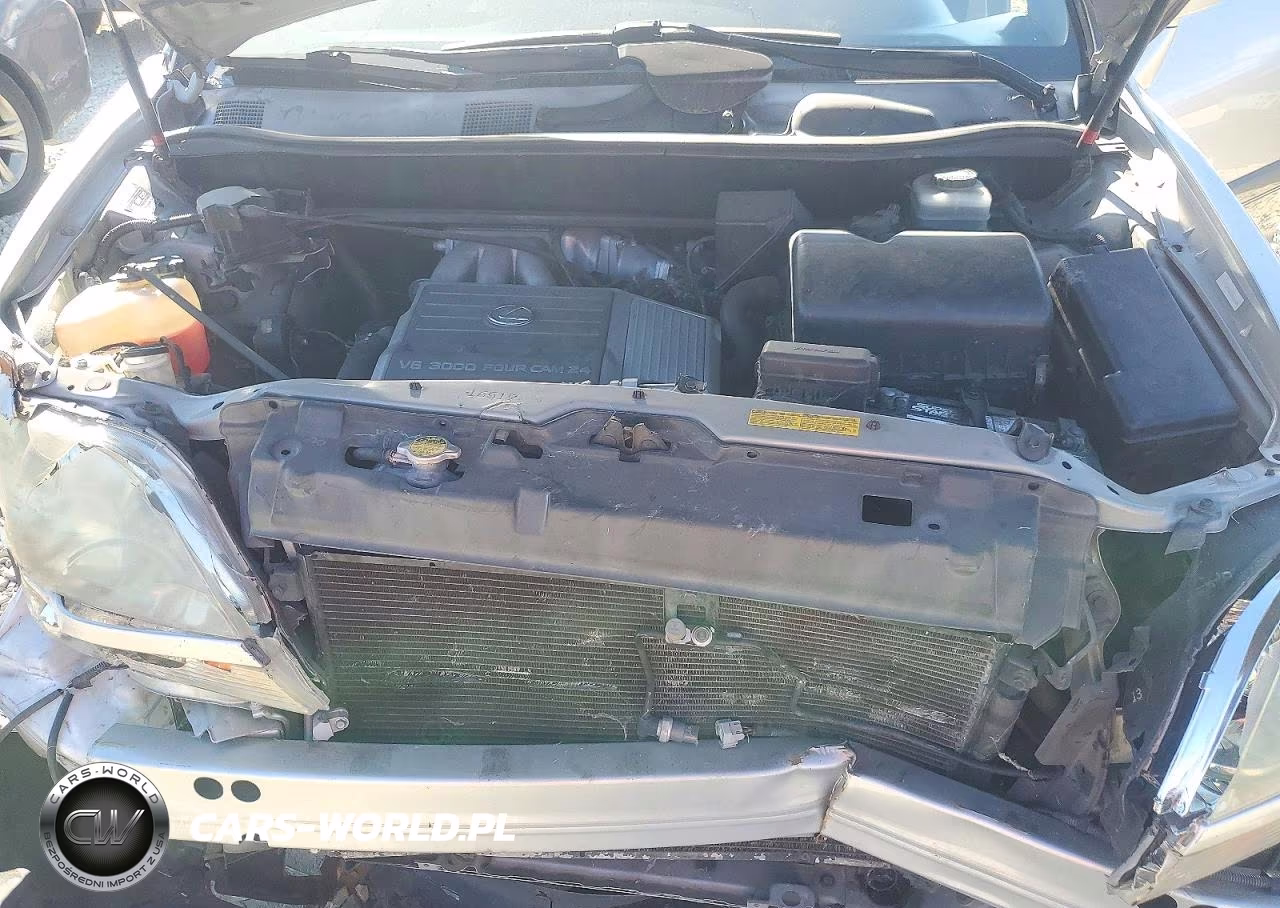 2002 Lexus Rx 300 VIN:JTJGF10UX20122936 - 12