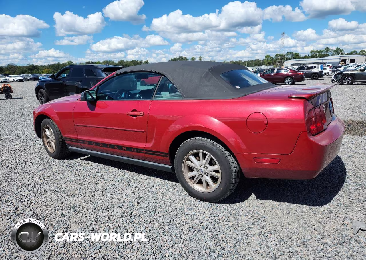 2008 Ford Mustang VIN:1ZVHT84N385186000 - 2