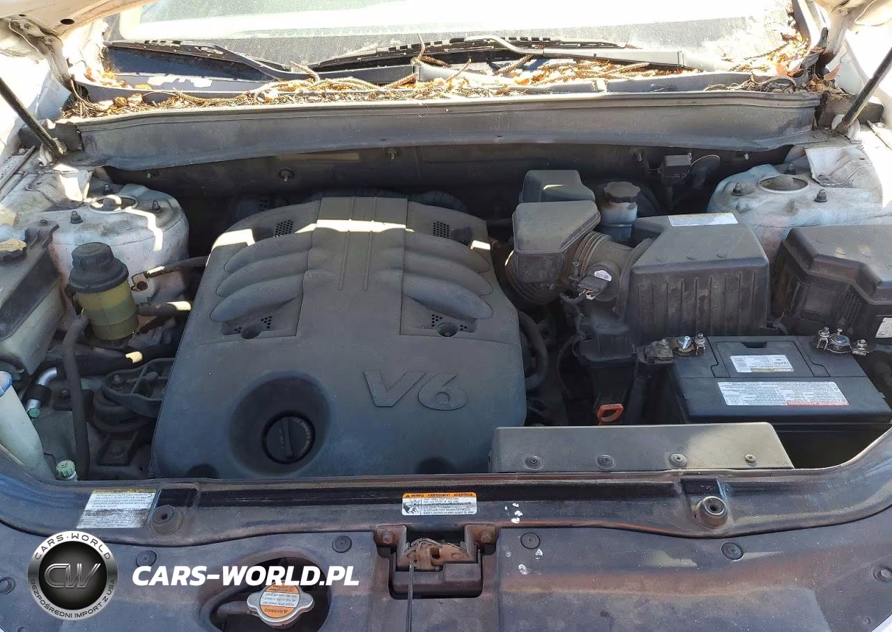 2009 Hyundai Santa Fe Cma VIN:5NMSH13E49H257478 - 12