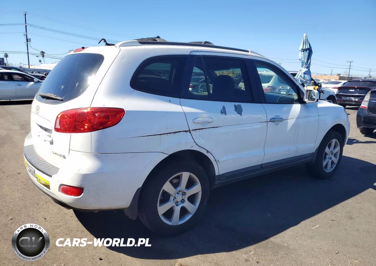 2009 Hyundai Santa Fe Cma VIN:5NMSH13E49H257478 - 3