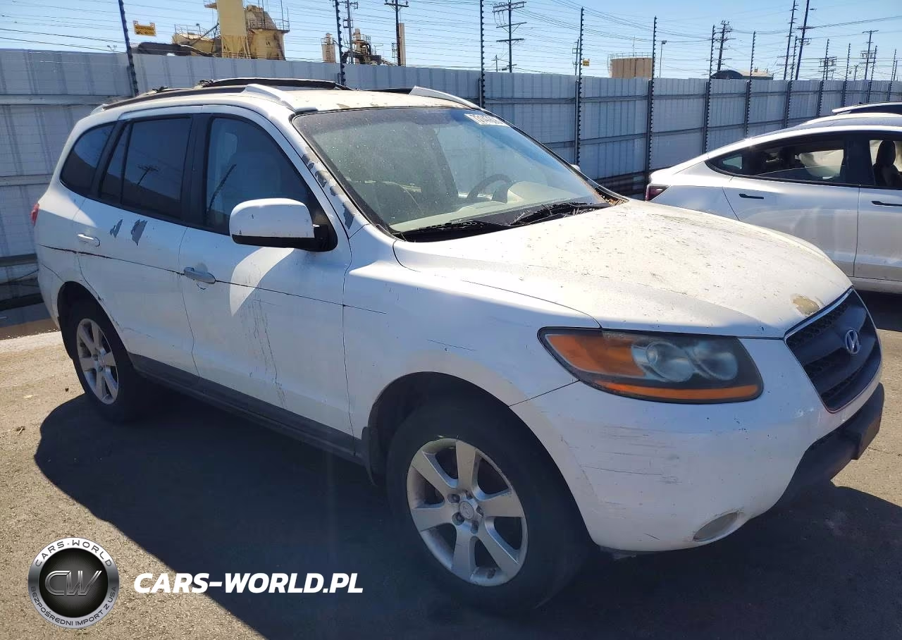2009 Hyundai Santa Fe Cma VIN:5NMSH13E49H257478 - 4