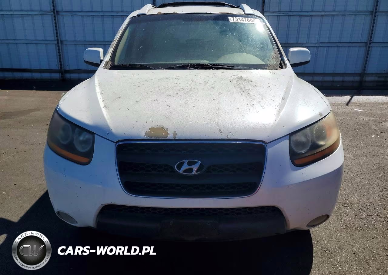 2009 Hyundai Santa Fe Cma VIN:5NMSH13E49H257478 - 5