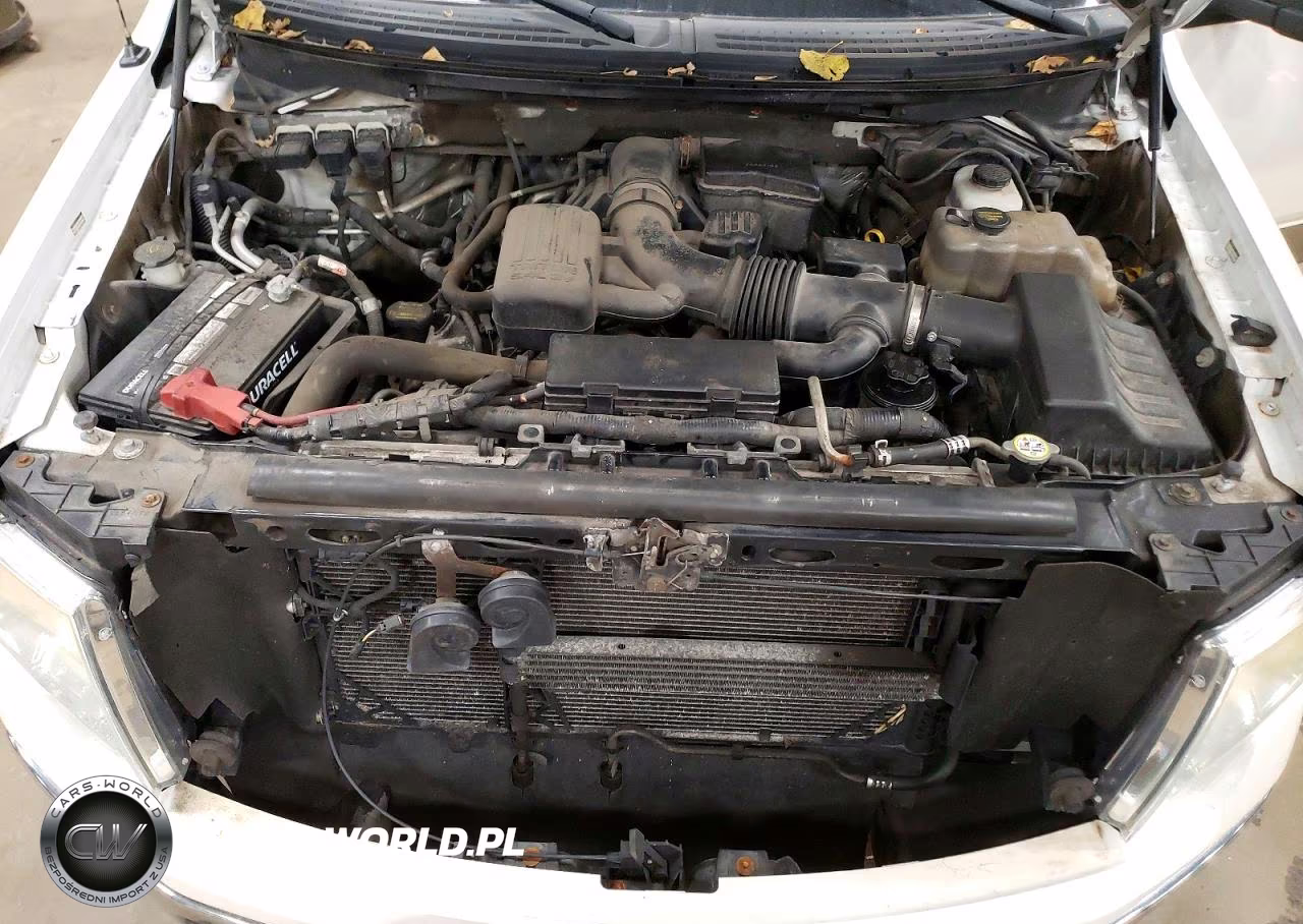 2010 Ford F150 Supercrew VIN:1FTFW1EV4AFA79982 - 11
