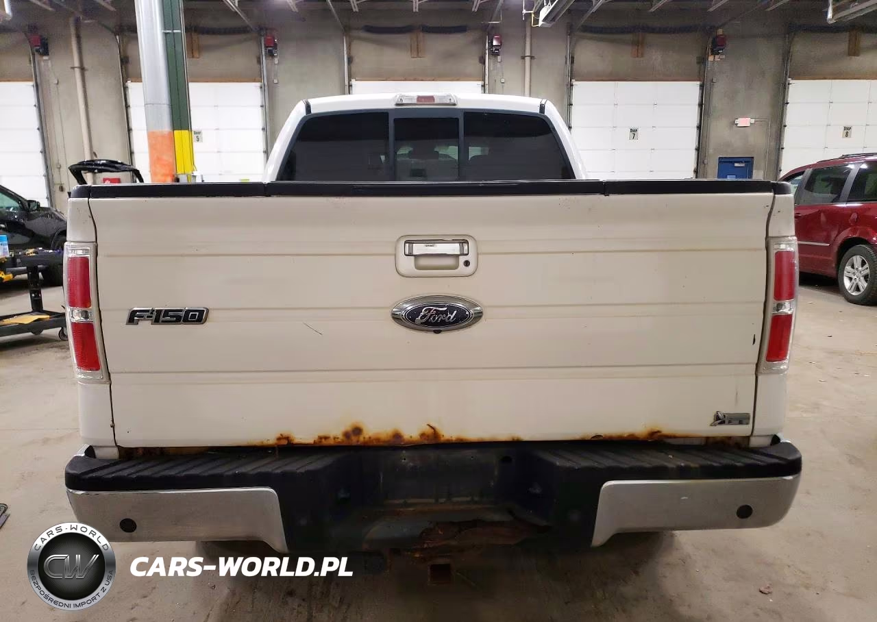 2010 Ford F150 Supercrew VIN:1FTFW1EV4AFA79982 - 6