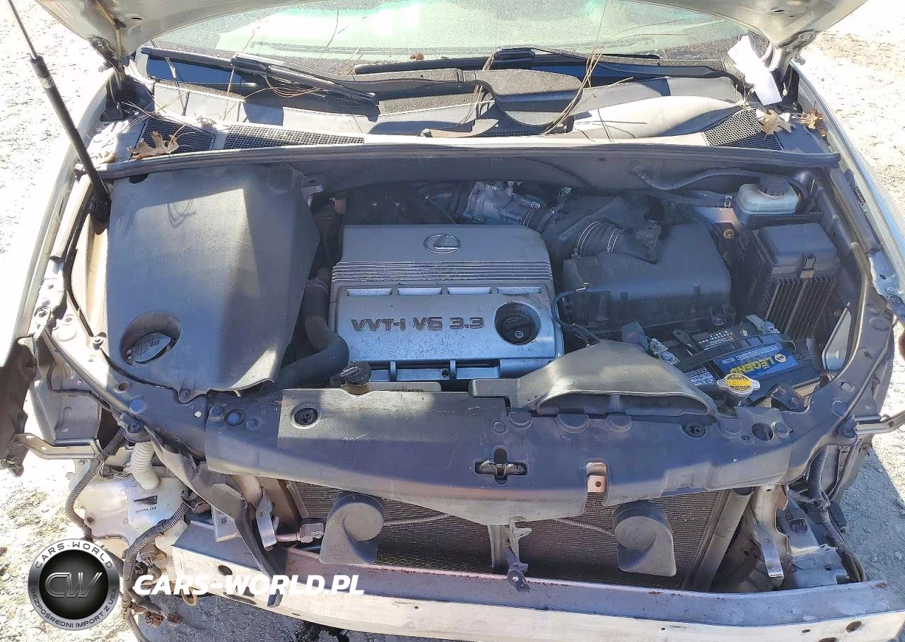 2004 Lexus Rx 330 VIN:JTJHA31U340041888 - 12