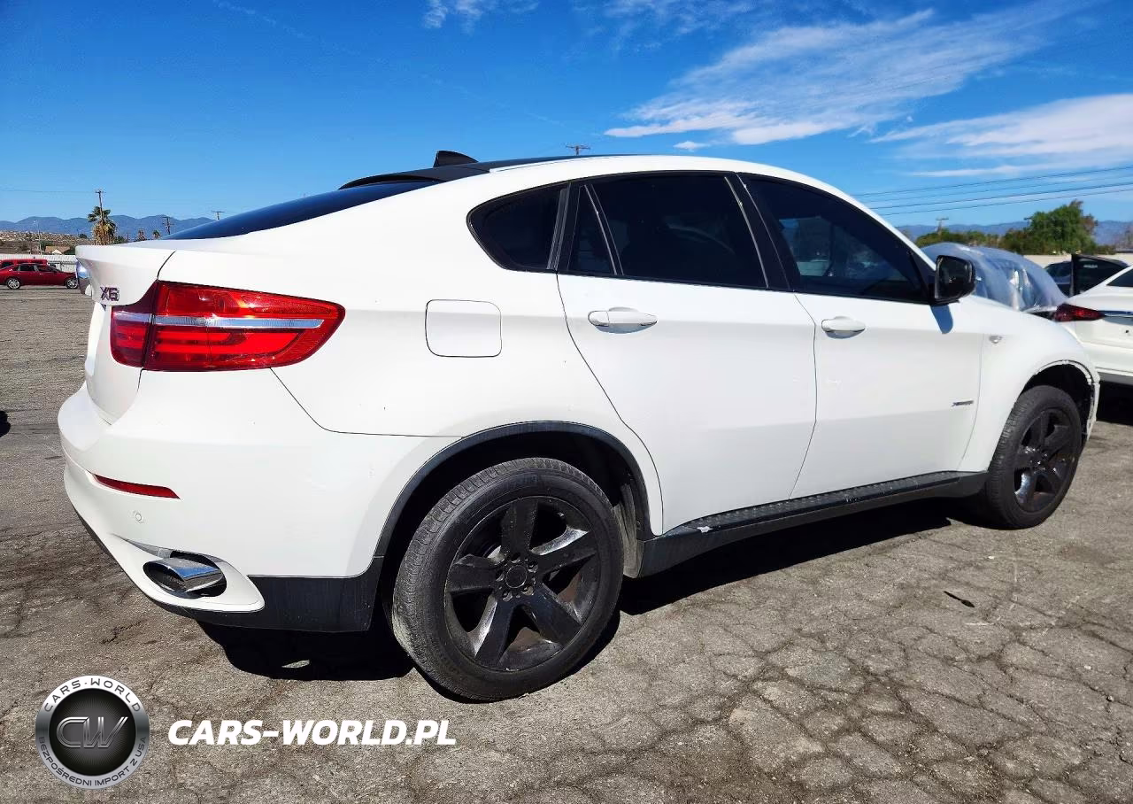 2013 BMW X6 xDrive35I VIN:5UXFG2C56DL786205 - 3