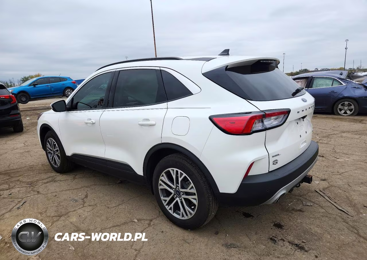 2021 Ford Escape Sel VIN:1FMCU9H99MUB03081 - 2