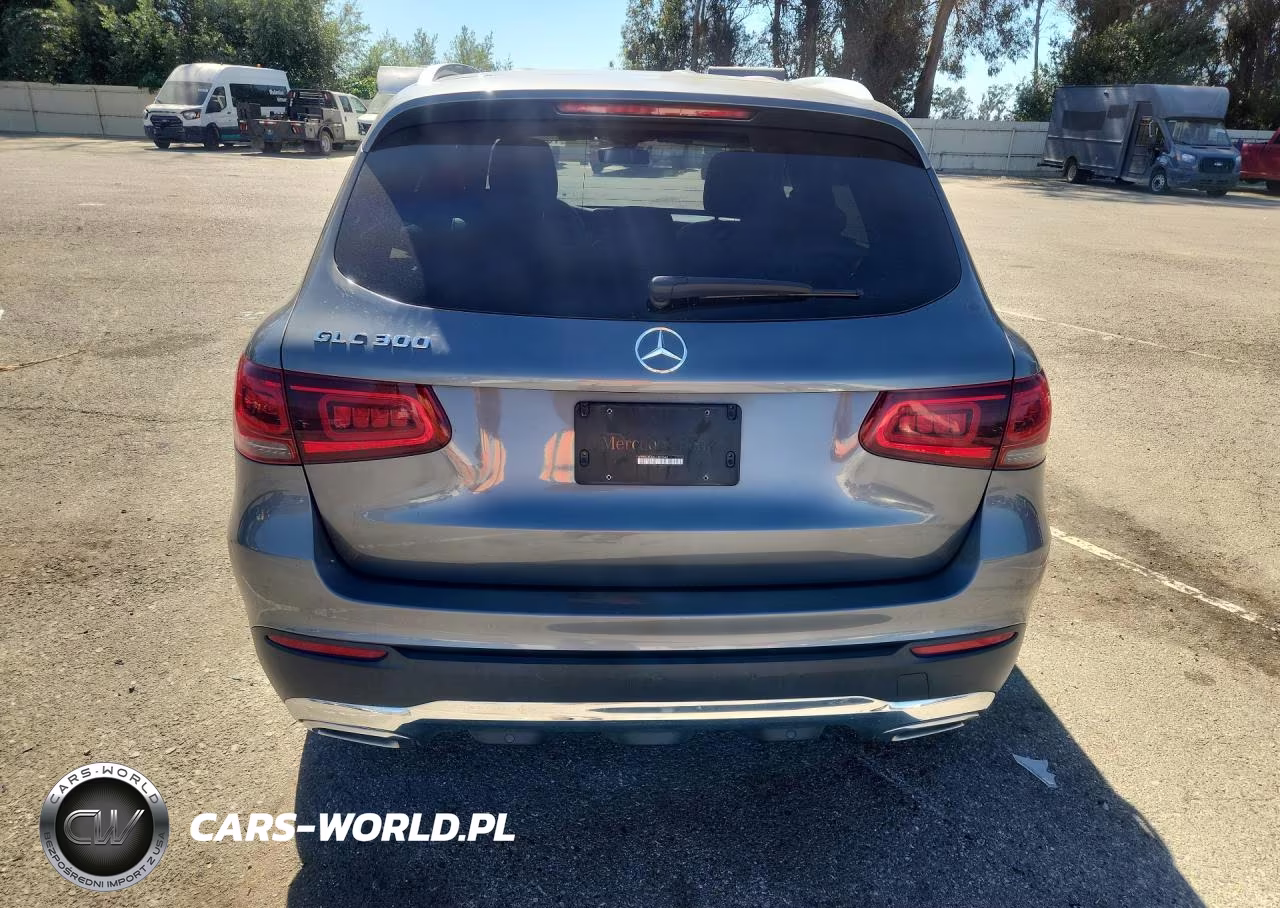 2020 Mercedes-Benz Glc 300 VIN:W1N0G8DB6LF803542 - 6