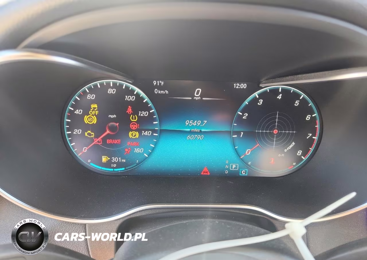 2020 Mercedes-Benz Glc 300 VIN:W1N0G8DB6LF803542 - 9