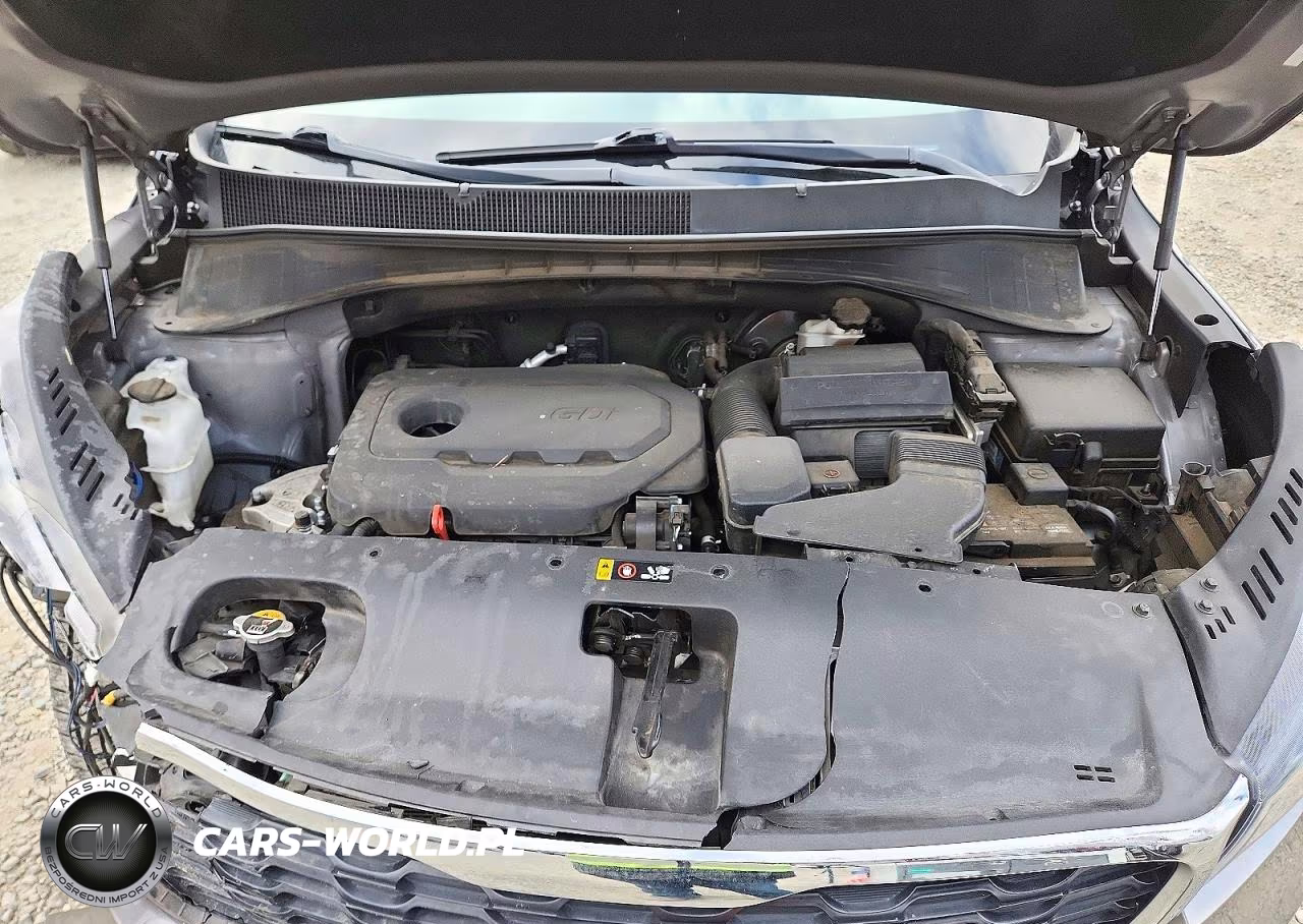 2019 Kia Sorento Lx VIN:5XYPG4A32KG503861 - 12